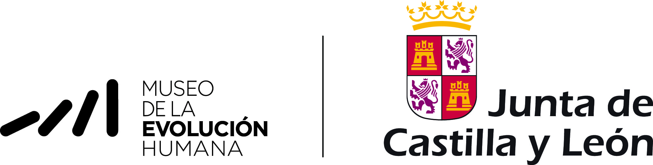 TALLER 8-12 AÑOS CSI: EL CASO DE LOS TRES CRÁNEOS