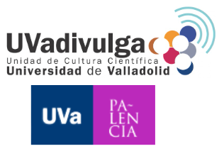 FORMACIÓN PARA INVESTIGADORES THE CONVERSATION